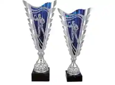 Darts Trophy